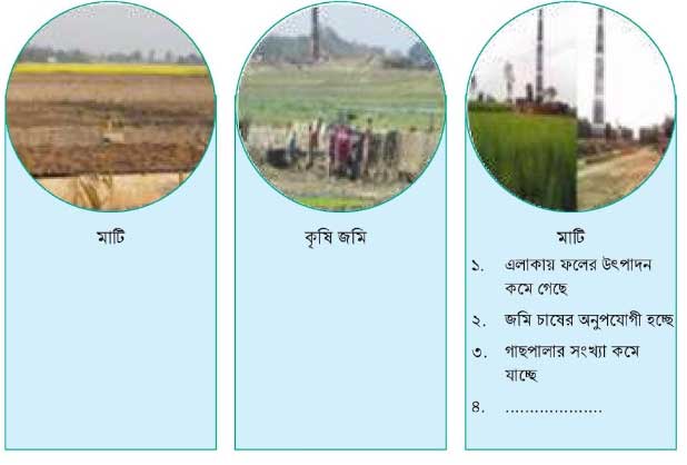 প্রাকৃতিক ও সামাজিক কাঠামোর আন্তঃসম্পর্ক এবং আমাদের দায়িত্বশীলতা