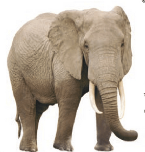 জীবের পারস্পরিক নির্ভরশীলতা এবং টেকসই পরিবেশ