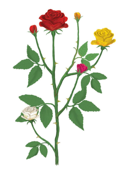 স্কিল কোর্স ২