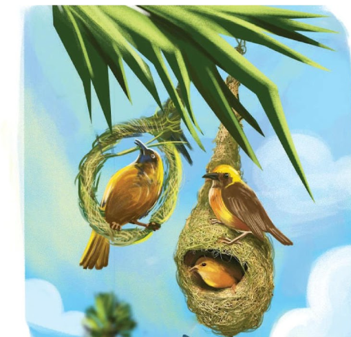 আত্মার আত্মীয়