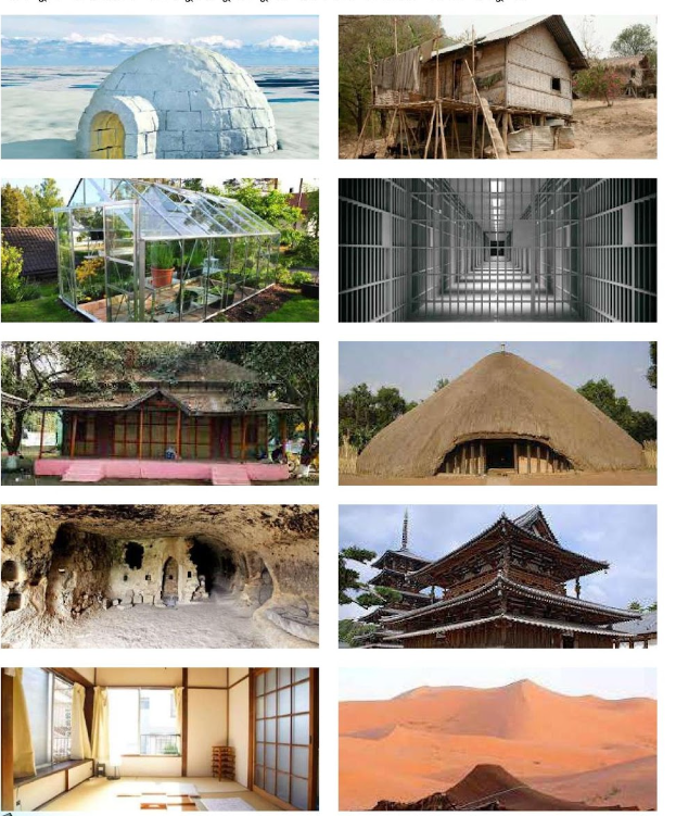 প্রাকৃতিক ও সামাজিক কাঠামো