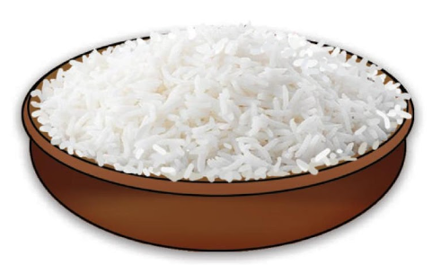 স্কিল কোর্স ১