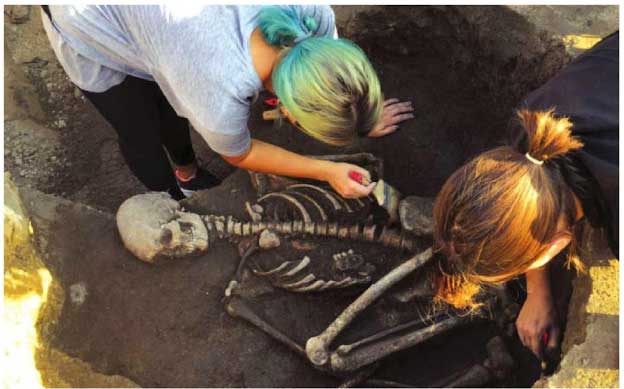 মানুষ ও সমাজ এলো কোথা থেকে?