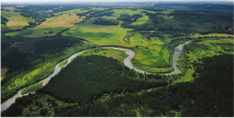 সভ্যতার বিকাশ