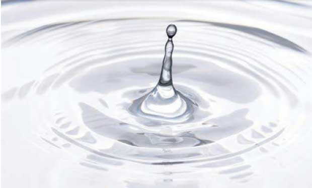 পানির সঙ্গে বন্ধুতা