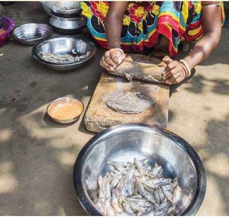 রান্নাঘরেই ল্যাবরেটরি!