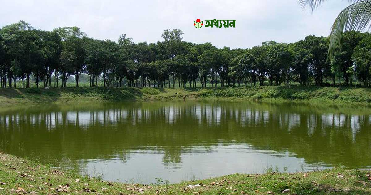 বড়দিঘী সম্পর্কে ৪০০ শব্দের কথোপকথন (Dialogue) নমুনা